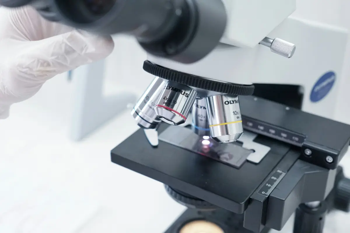 Veterinary laboratory microscope used for microbiology and parasitology testing